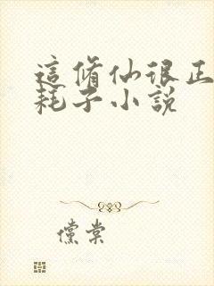 这修仙很正经小耗子小说封面