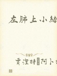 左肺上小结节影