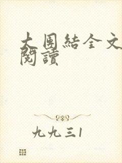 大团结全文免费阅读封面