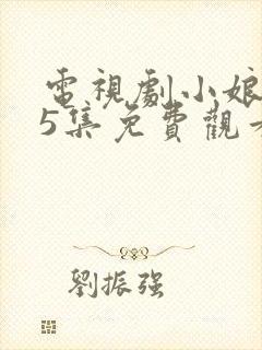 电视剧小娘惹45集免费观看大结局