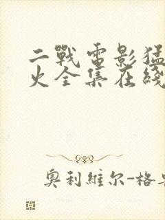 二战电影猛烈开火全集在线播放