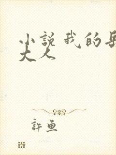 小说 我的岳母大人