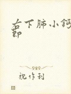 右下肺小钙化结节封面