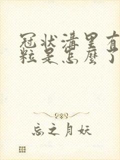 冠状沟里有小肉粒是怎么了