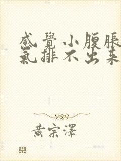 感觉小腹胀痛有气排不出来