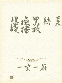 爆操黑丝美女在线播放