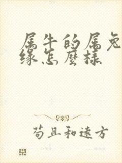 属牛的属兔的姻缘怎么样