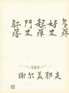 肛门起好多小疙瘩又痒又疼怎么回事封面