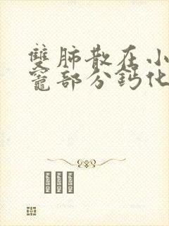 双肺散在小结节灶部分钙化