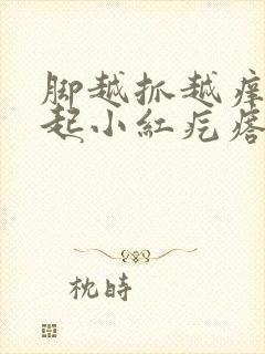 脚越抓越痒然后起小红疙瘩封面