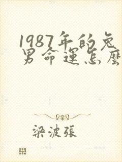 1987年的兔男命运怎么样