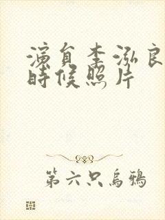 演员李泓良年轻时候照片