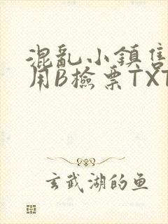 混乱小镇售票员用B检票TXT