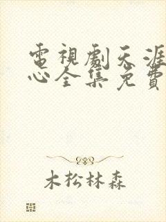 电视剧天涯赤子心全集免费观看封面