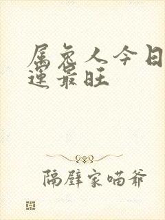 属兔人今日偏财运最旺