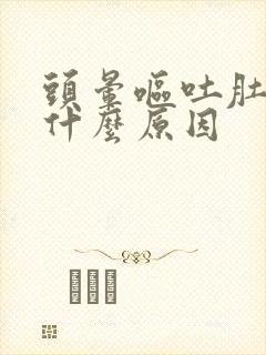 头晕呕吐肚子痛什么原因