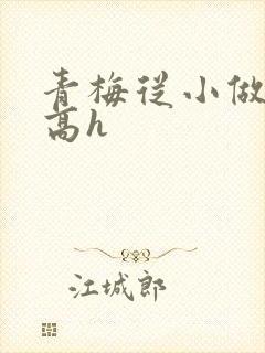 青梅从小做到大高h封面