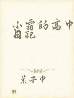 小霜的高中成长日记