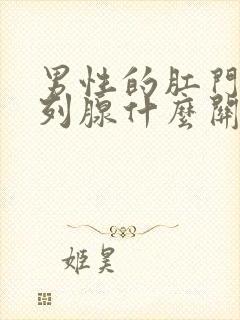 男性的肛门和前列腺什么关系