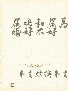 属鸡和属马的合婚好不好封面