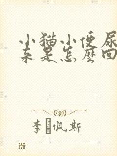 小猫小便尿不出来是怎么回事