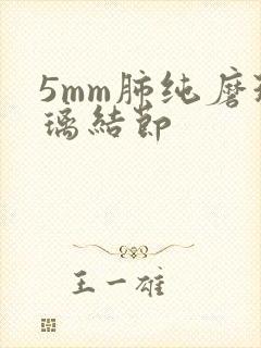 5mm肺纯磨玻璃结节