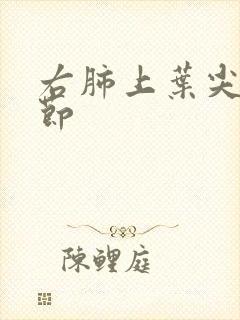 右肺上叶尖段结节