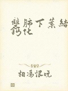 双肺下叶结节有钙化