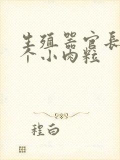 生殖器官长了一个小肉粒