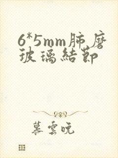 6*5mm肺磨玻璃结节