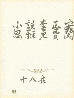 小说李正安和宋思雅免费阅读