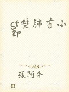 ct双肺有小结节