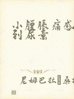 小腹胀痛感觉不到尿意