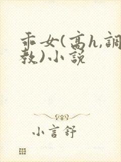 乖女(高h,调教)小说