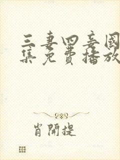 三妻四妾国语全集免费播放电视剧大