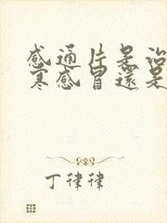 感通片是治疗风寒感冒还是风热感冒