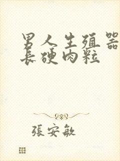 男人生殖器内侧长硬肉粒封面