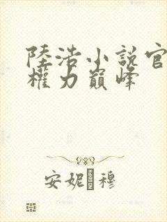 陆浩小说官途:权力巅峰