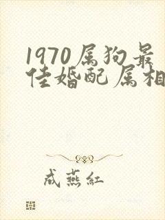 1970属狗最佳婚配属相女