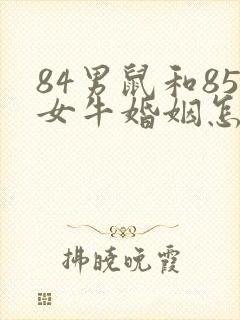 84男鼠和85女牛婚姻怎么样封面