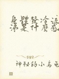 身体发冷流清鼻涕是什么感冒