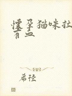 怀孕猫咪拉粑粑有血