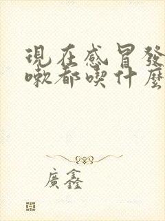 现在感冒发烧咳嗽都吃什么药好封面