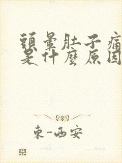 头晕肚子痛想吐是什么原因