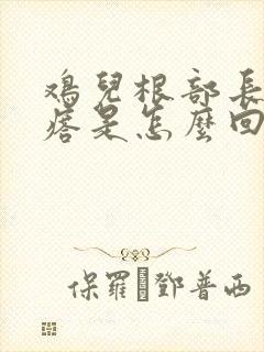 鸡儿根部长小疙瘩是怎么回事