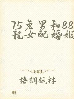 75兔男和88龙女配婚姻好不好