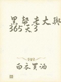 黑帮老大与我的365天3