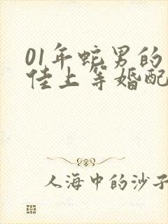 01年蛇男的最佳上等婚配属相