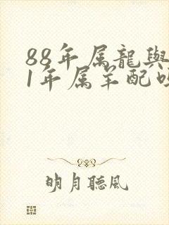 88年属龙与91年属羊配吗