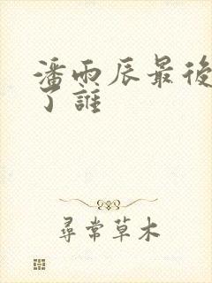 潘雨辰最后嫁给了谁封面